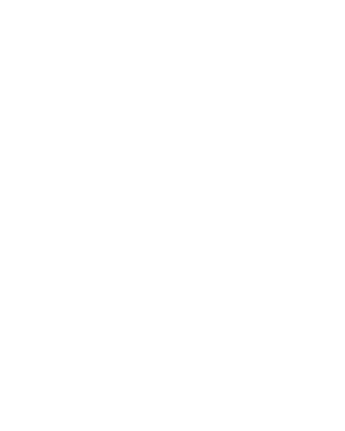 Lion's Home Entreprise